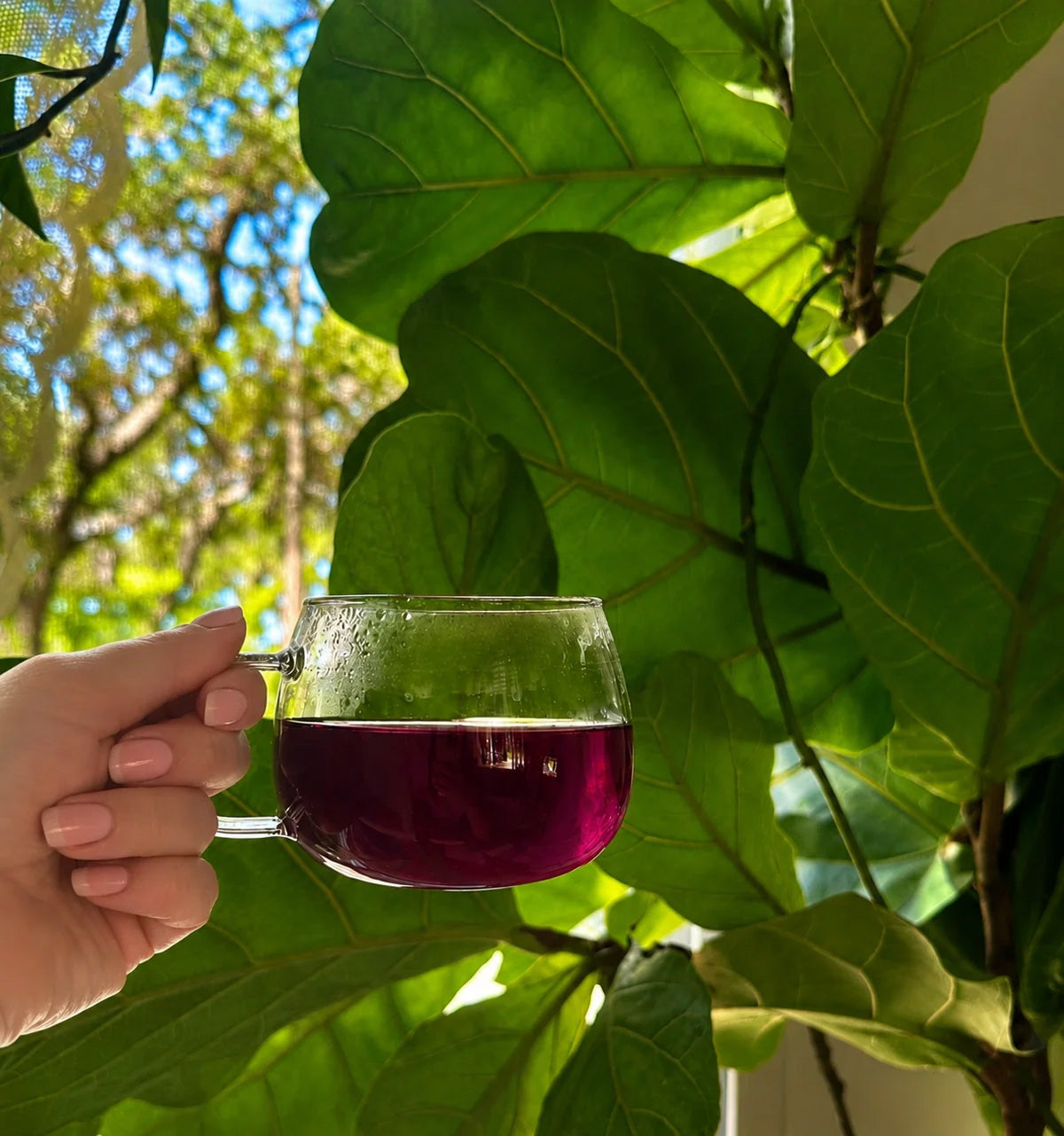 Blue butterfly pea flower tea served outdoors