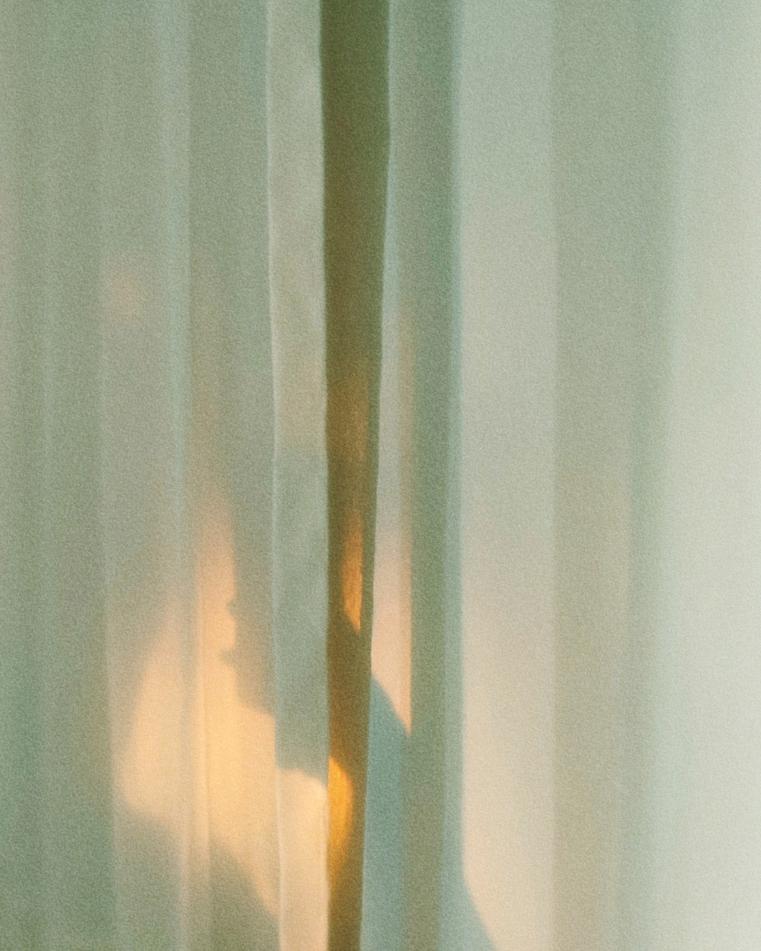 Warm sunlight through sheer curtains creating a calming atmosphere.