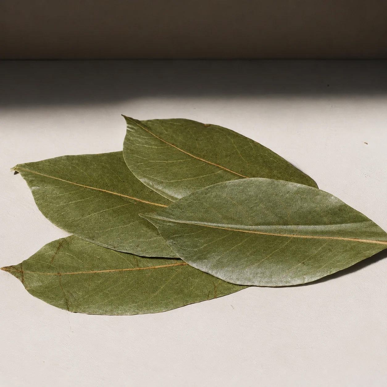Dried Annona muricata leaves for soursop herbal tea