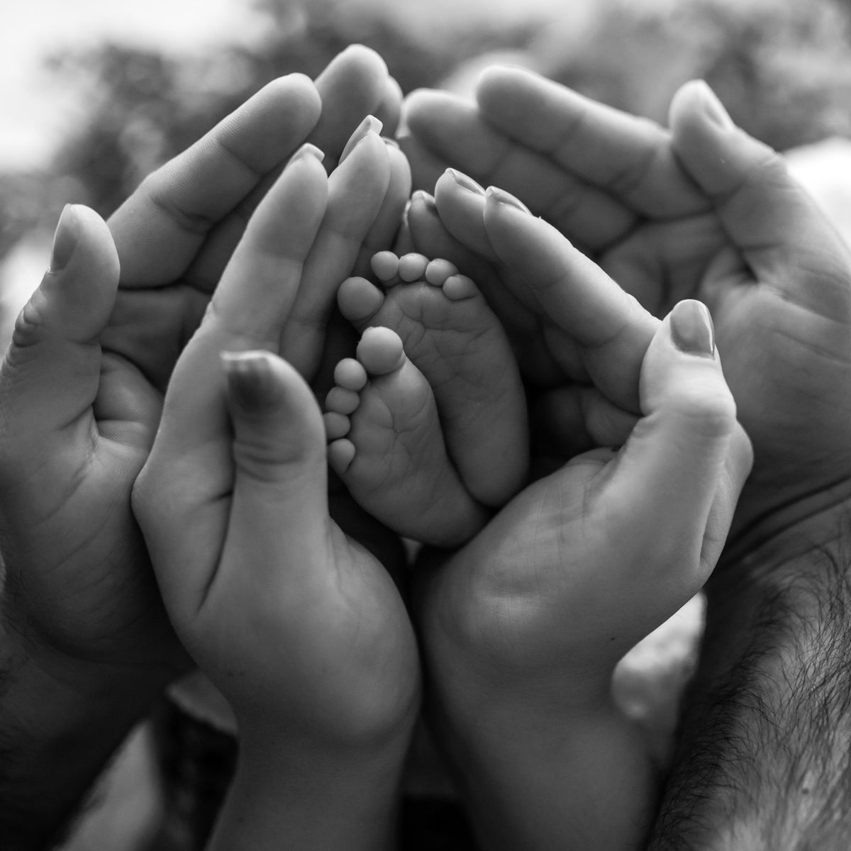 Black and white photo of hands holding a baby's feet