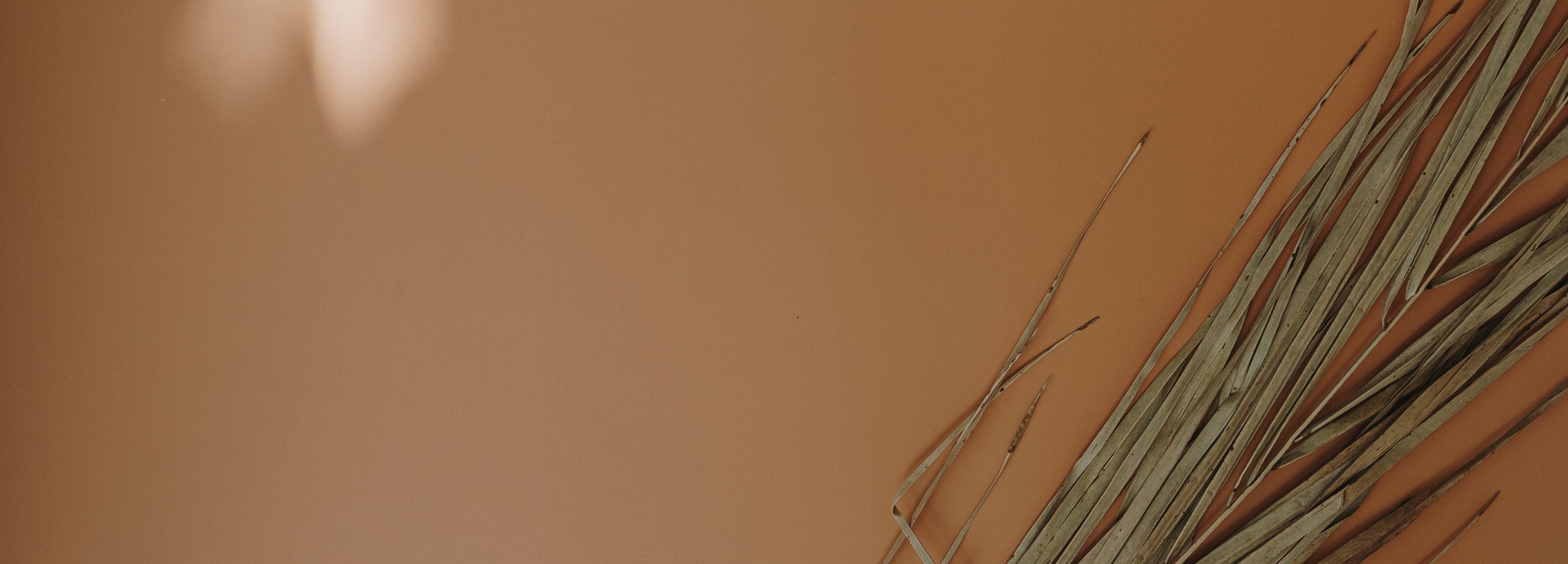 brown-background
